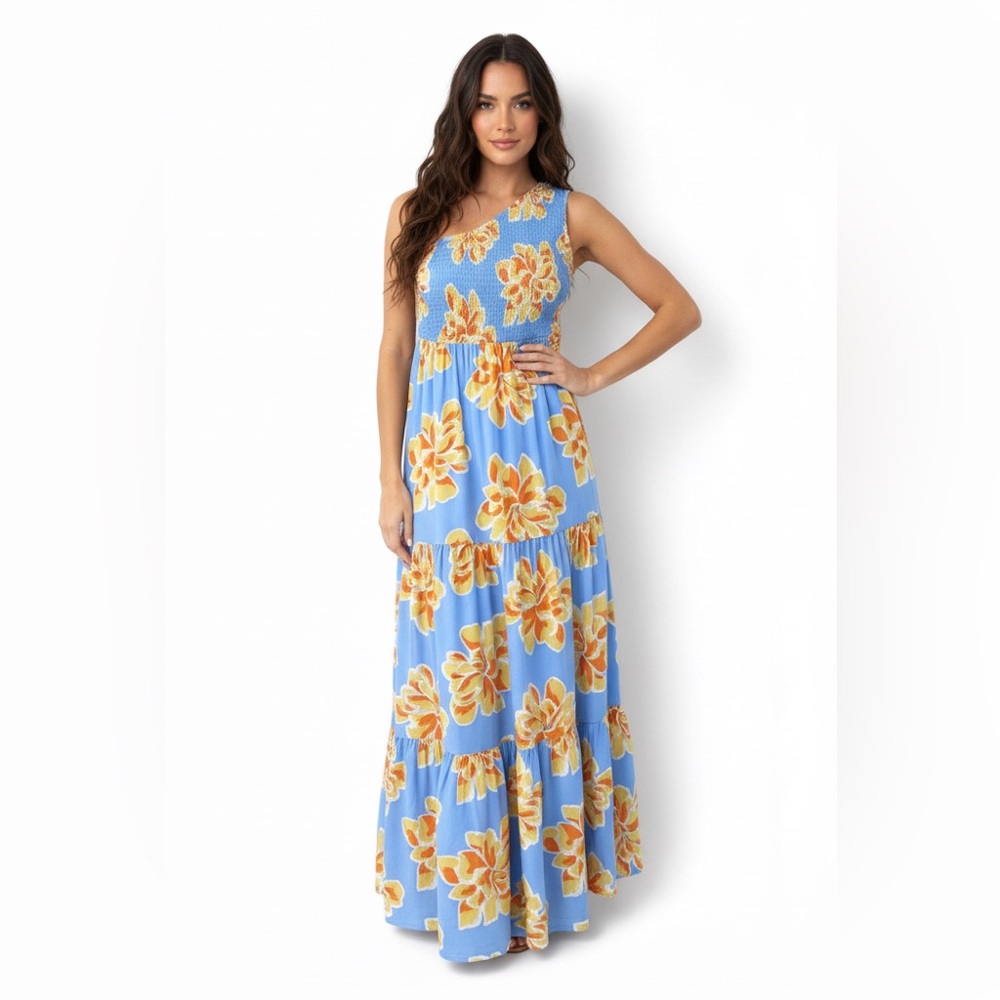 Abel the Label Anthropologie Blue Flower Maxi Dress